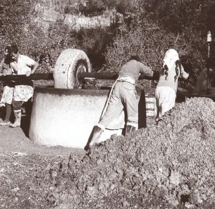 «Ελαιοτριβείο παλαιού τύπου» 