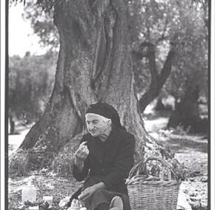 «Κολατσιό στον Ελαιώνα, 1962»