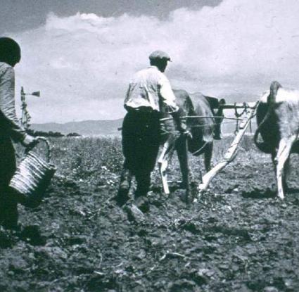 «Το όργωμα, κοπιαστική εργασία του γεωργού στα χωράφια κατά την περίοδο της σποράς»