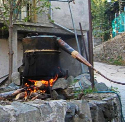 Απόσταξη ροδοστάγματος με καζάνι. 