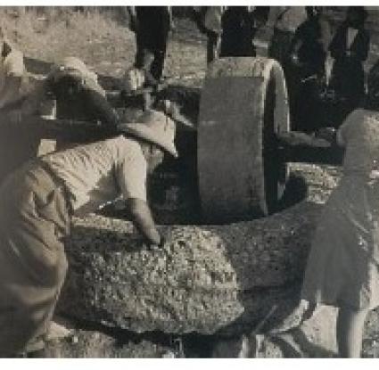 © F.M. Yiaxis (1950s) Σύνθλιψη του καρπού σε παραδοσιακό μύλο.  