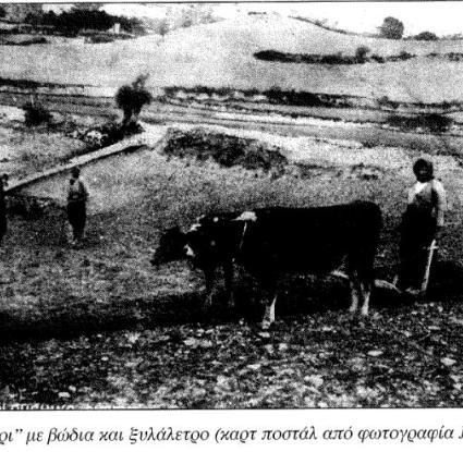 Το ζευγάρι με τα βόδια και το ξυλάλετρο, καρτ ποστάλ από φωτογραφία του J.P.Foscolo (Πίπης 2000, 101).