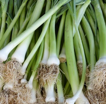«Πράσα» <br/> Πηγή: https://pixabay.com/en/leek-spring-onion-food-market-65277/