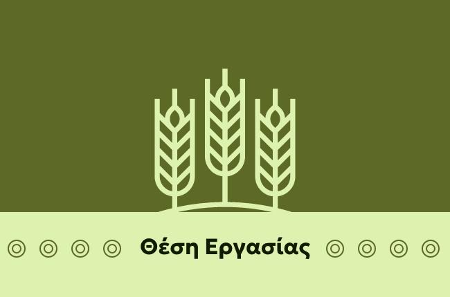 Αναζήτηση Συνεργατών–Θέση Εργασίας