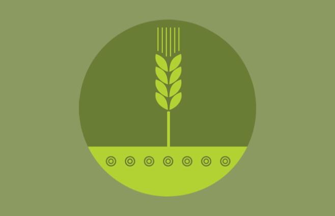 CFM