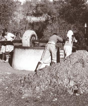 «Ελαιοτριβείο παλαιού τύπου» 