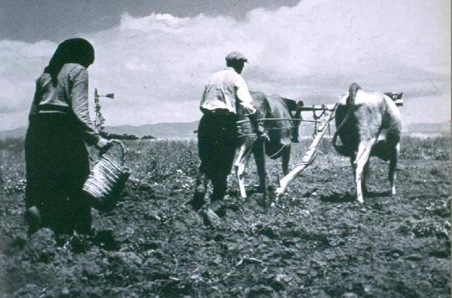 «Το όργωμα, κοπιαστική εργασία του γεωργού στα χωράφια κατά την περίοδο της σποράς»