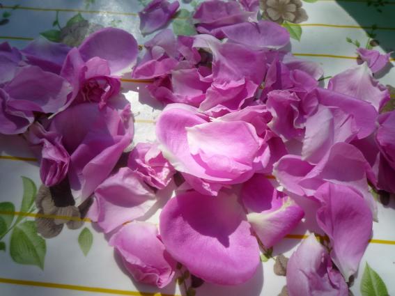 2. Βγάζουμε τα πέταλα. <br/> Πηγή: http://bougepas.blogspot.gr <br/>http://amateurdecuisine.blogspot.gr