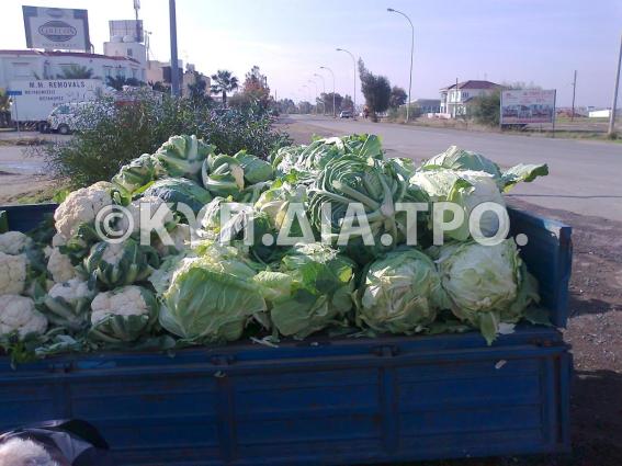 Κυπριακά κραμπιά και κουνουπίδια σε όχημα πλανοδιοπώλη. <br/> Πηγή: Στάλω Λαζάρου. 