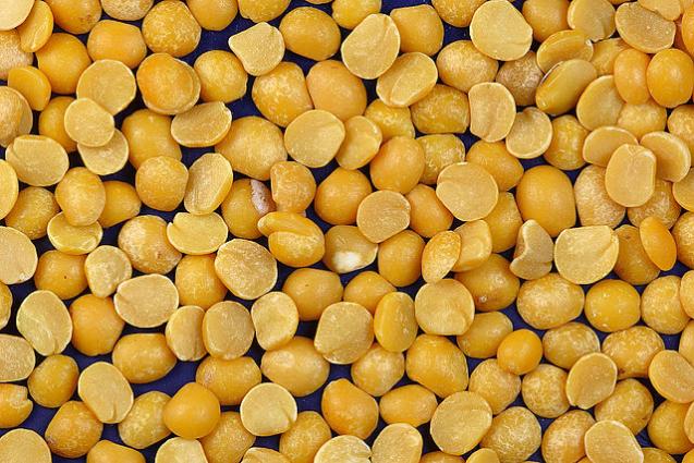 Λουβάνα. <br/> Πηγή: https://en.wikipedia.org/wiki/Split_pea