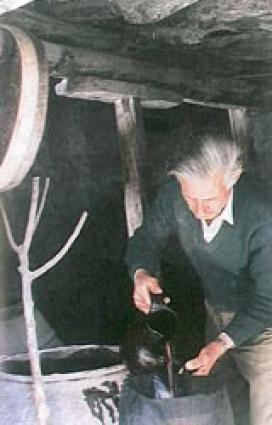 Μούστος. <br/> Πηγή: http://www.agros.org.cy/tradition_products_grape.shtm