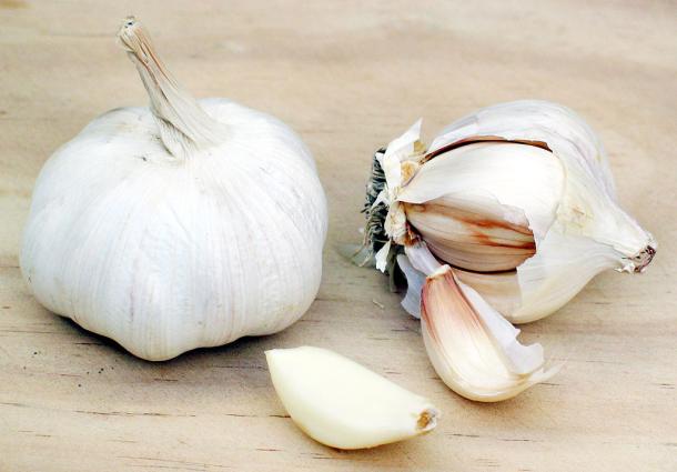 Σκόρδα. <br/> Πηγή: https://commons.wikimedia.org/wiki/File:Garlic.jpg