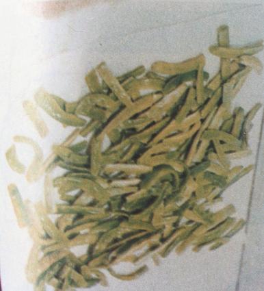 Στάδιο (ε)-Στέγνωμα 