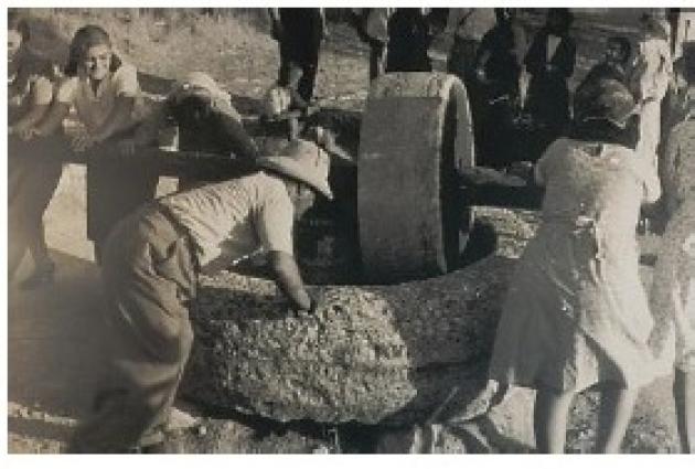© F.M. Yiaxis (1950s) Σύνθλιψη του καρπού σε παραδοσιακό μύλο.  