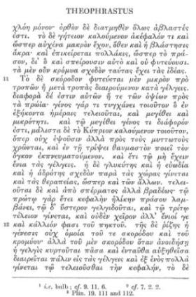 Antiskorodon or Kyprion 