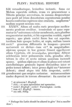 Antiskorodon or Kyprion 