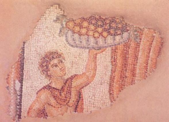 ΕΙΚ.10 Ψηφιδωτό από τη Λάμπουσα (Michaelides 1992, 64)