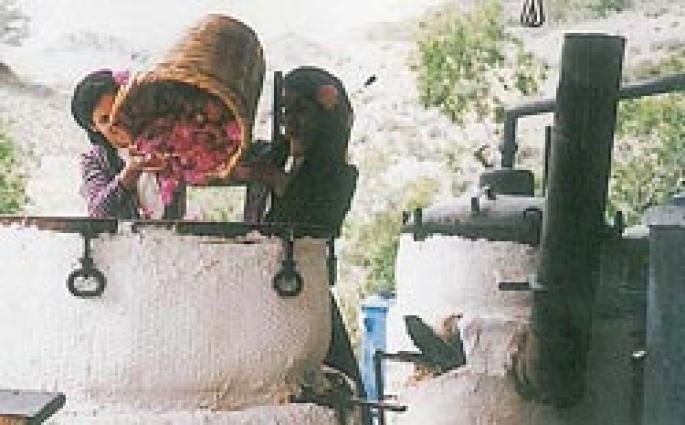http://www.agros.org.cy/tradition_products_rosewater.shtm