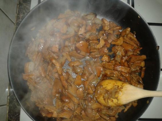 Manitaria - mushrooms