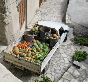 ΦΡΕΣΚΑ ΦΡΟΥΤΑ, ΚΑΡΠΟΥΖΙΑ, ΠΕΠΟΝΙΑ