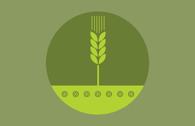 CFM