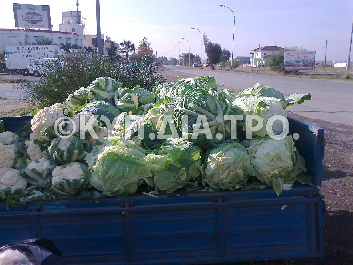 Κυπριακά κραμπιά και κουνουπίδια σε όχημα πλανοδιοπώλη. 