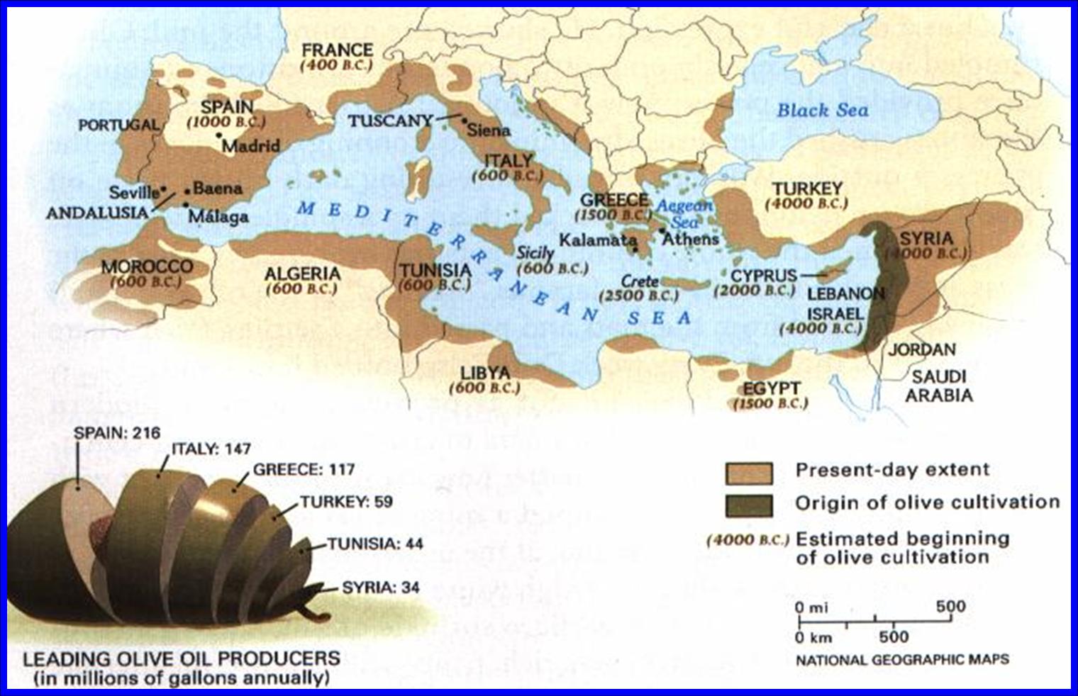 Διάδοση ελαιοκαλλιέργειας στη Μεσόγειο, Αρχείο Α. Ματάλα