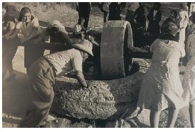 © F.M. Yiaxis (1950s) Σύνθλιψη του καρπού σε παραδοσιακό μύλο.  
