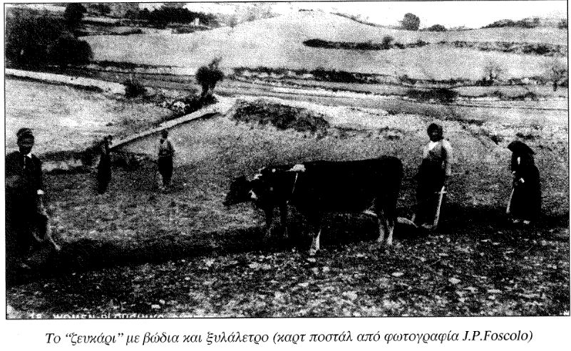 Το ζευγάρι με τα βόδια και το ξυλάλετρο, καρτ ποστάλ από φωτογραφία του J.P.Foscolo (Πίπης 2000, 101).